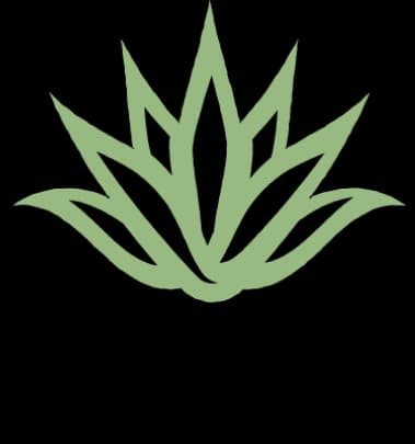 Agave Injury Law logo