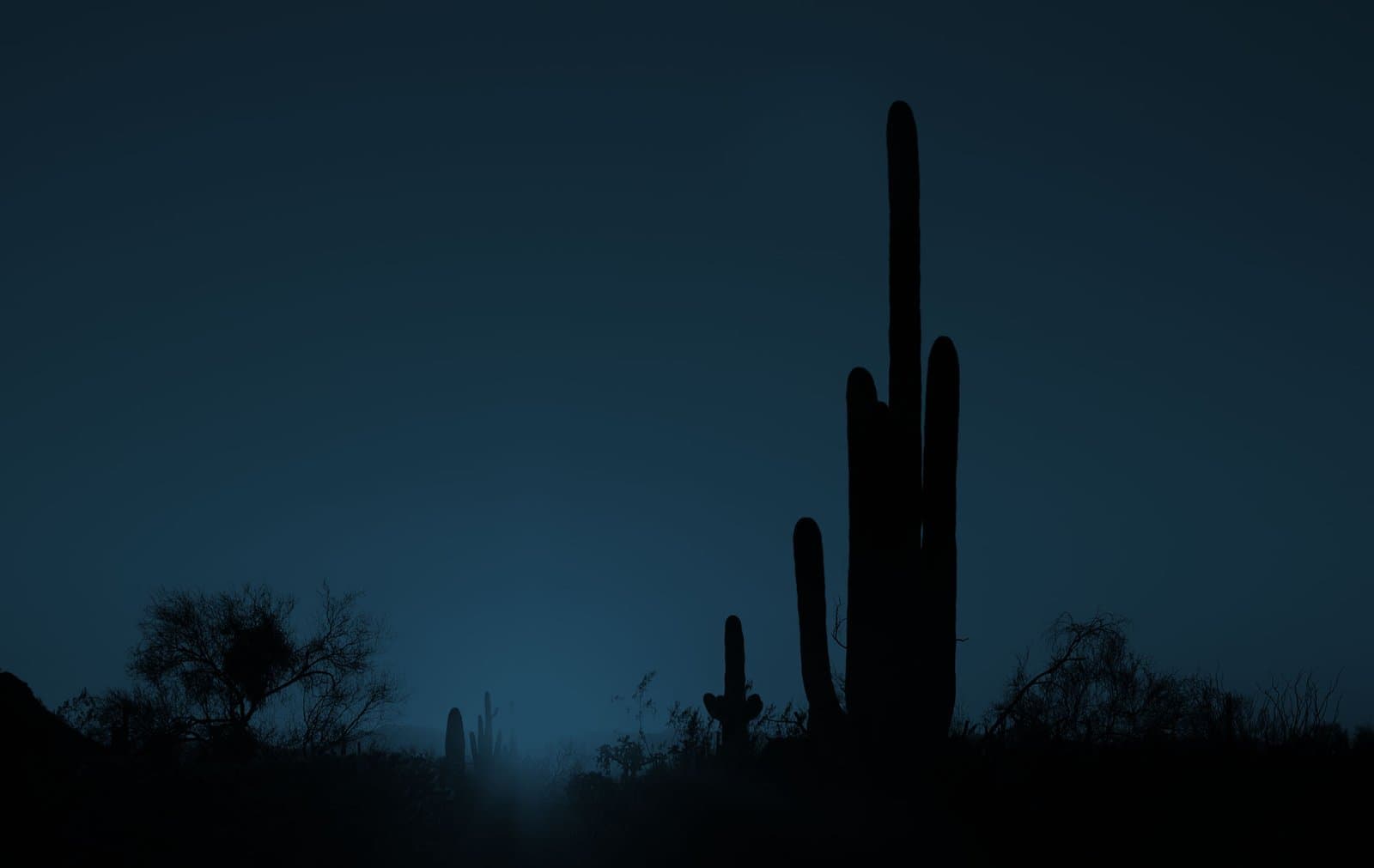 Copper Canyon Law logo