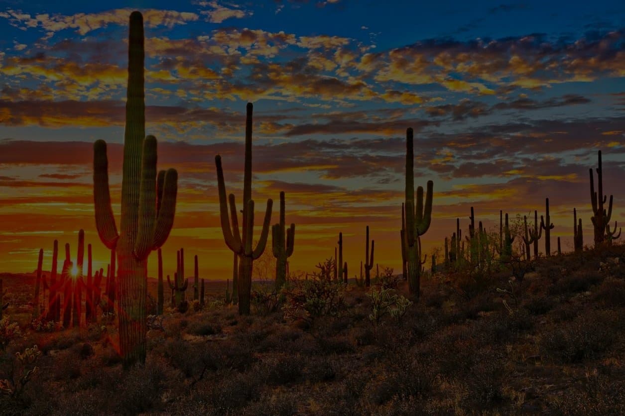 Arizona Wills & Trusts of Tucson logo